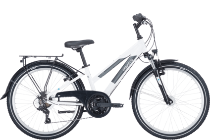 Avanti 18 24 | Alle Produktdetails auf einen Blick | PEGASUS Bikes  Offizielle Website
