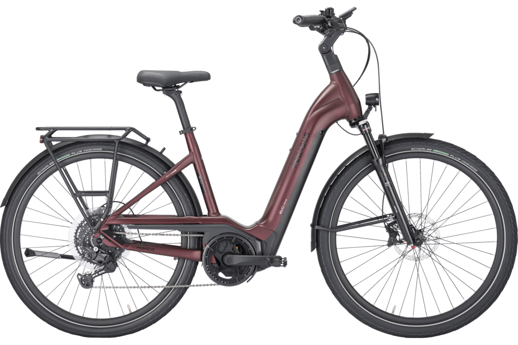 PEGASUS Strong EVO 10 Lite