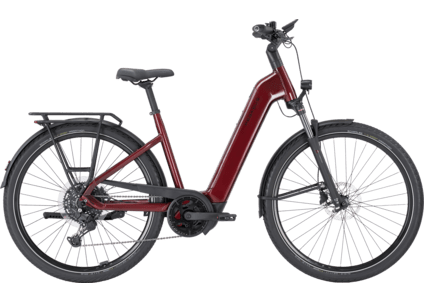 PREMIO EVO 10 Lite | Premio EVO 10 Lite | Offizieller PEGASUS Bikes  Onlineshop