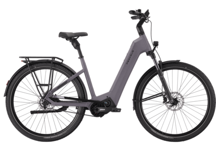 Pinion | Offizieller PEGASUS Bikes Onlineshop